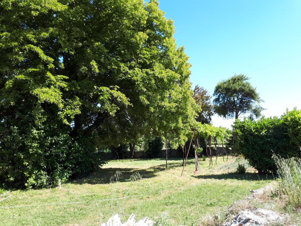 Villa Saint-Privat Pouzilhac Kültér fotó